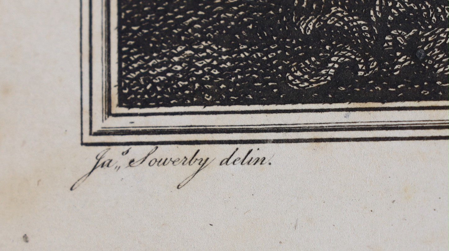 McArthur. J - The Army and Navy Gentleman’s Companion, or A New and Complete Treatise on the Theory and Practice of Fencing, 4to, quarter calf, with engraved frontis and 19 plates, J. Murray, London, 1784